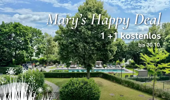 Mary's Happy Deal Mary's Happy Deal